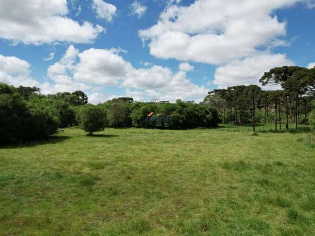 Terreno à Venda 11.000,00 m² em Campo Alegre, SC