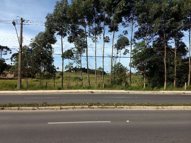 Terreno Comercial/Residencial próximo ao Hospital Rocio