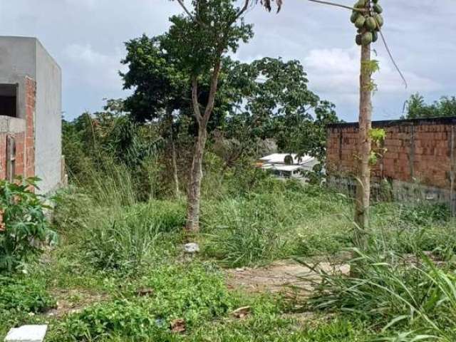 Terreno para Venda em Camaçari, Vila de Abrantes (Abrantes)