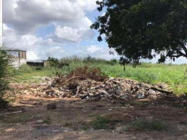 Terreno para Locação em Salvador, Stella Maris