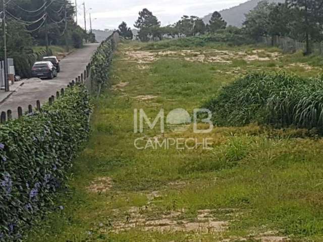 Terreno à venda, 6000 m² - Campeche - Florianópolis/SC