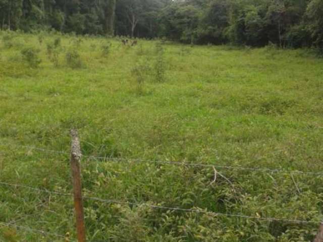 [Vendo Sítio em Brazópolis] [7 hectares com córrego d'água]