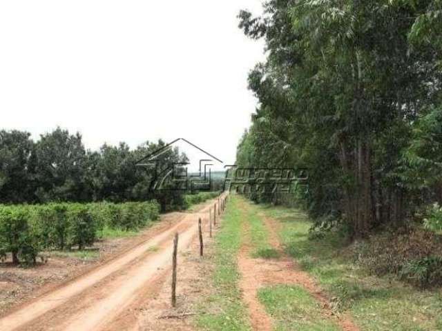 Belo sítio com 30ha de eucaliptos em Ubirajara - SP