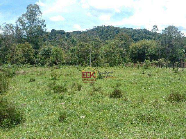 Terreno à venda, 1000 m² por R$ 265.000 - Zona Rural - Santo Antônio do Pinhal/SP