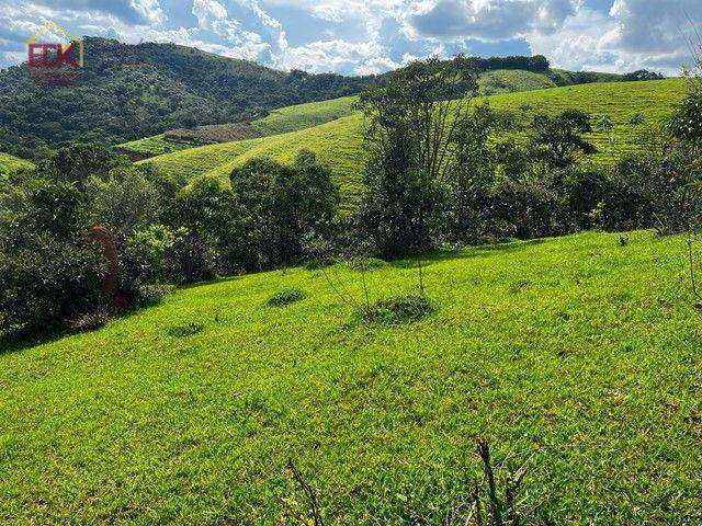 Área à venda, 22500 m² por R$ 280.000 - Rodovia - Jambeiro/SP