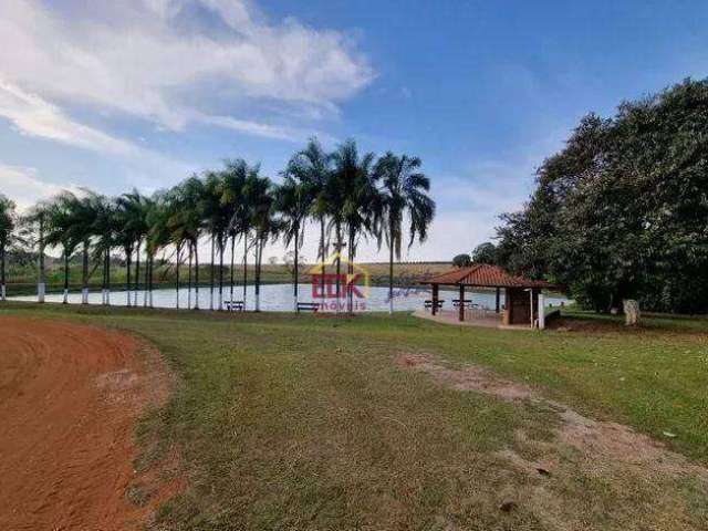 Fazenda com 10 dormitórios à venda, 2371600 m² por R$ 30.000.000 - Zona Rural - Votuporanga/SP