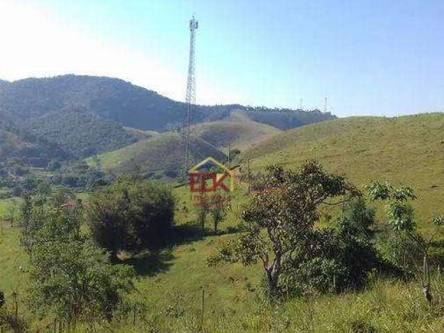 Área à venda, 73810 m² por R$ 1.100.000,00 - Zona Rural - Monteiro Lobato/SP