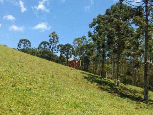 Sítio com 2 dormitórios à venda, 36300 m² por R$ 430.000,00 - Zona Rural - Cunha/SP