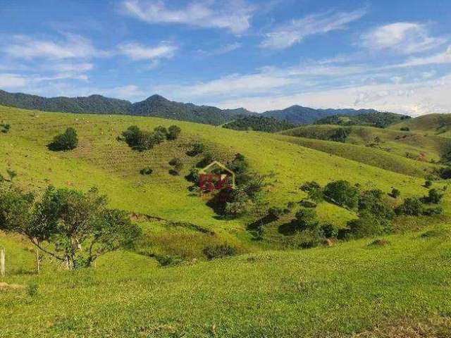 Fazenda com 3 dormitórios à venda, 653400 m² por R$ 2.800.000,00 - Pinherinho  - Taubaté/SP