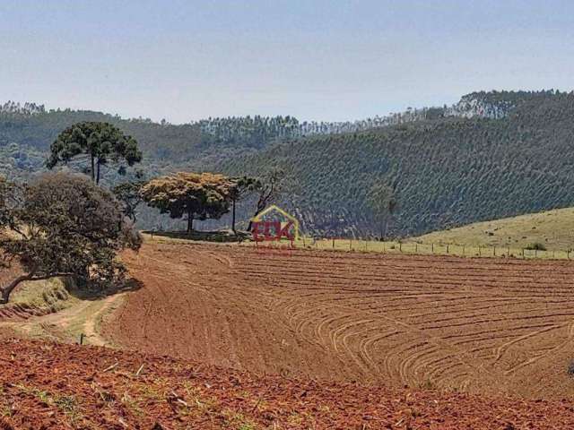 Fazenda com 3 dormitórios à venda, 1050000 m² por R$ 4.300.000 - Campos Novos - Cunha/SP