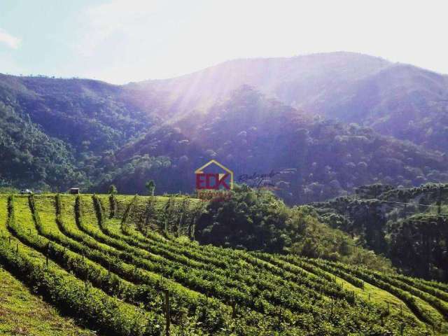 Fazenda com 2 dormitórios à venda, 540000 m² por R$ 3.200.000 - Distrito dos Franceses - Carvalhos/MG