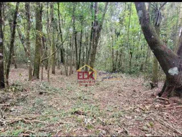 Terreno à venda, 1000 m² por R$ 181.000 - Vila Natal - Campos do Jordão/SP