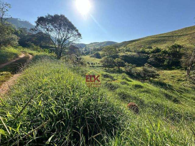 Terreno à venda, 20000 m² por R$ 330.000,00 - Sete Voltas - Taubaté/SP