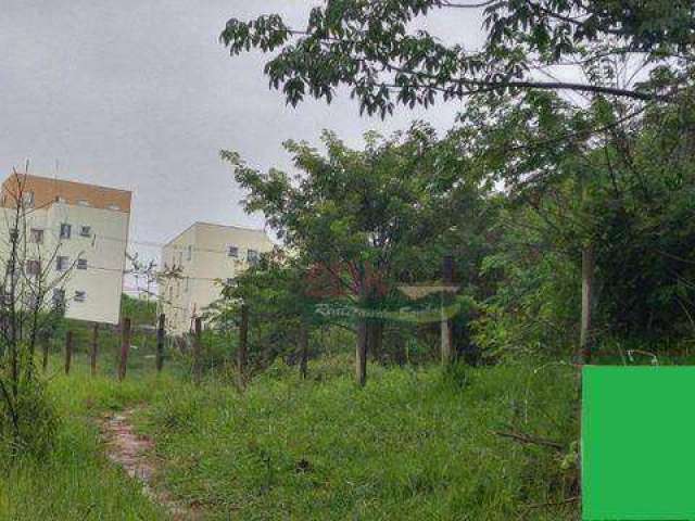 Terreno à venda, 3915 m² por R$ 2.350.000,00 - Parque Santo Antônio - Jacareí/SP