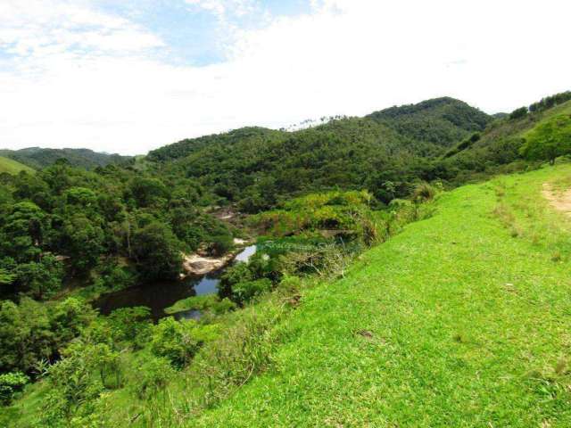 Terreno à venda, 190000 m² por R$ 600.000,00 - Palmeiras - Natividade da Serra/SP