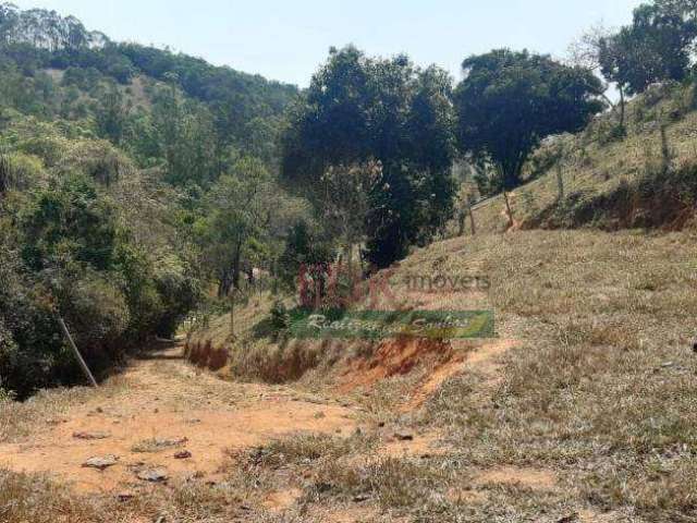 Chácara à venda, 40000 m² por R$ 800.000,00 - Benfica - São Luiz do Paraitinga/SP