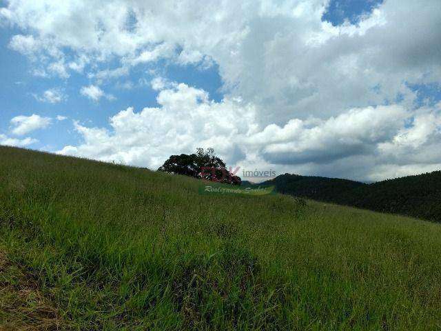 Terreno à venda, 20000 m² por R$ 2.200.000,00 - Ribeirão Grande - Pindamonhangaba/SP