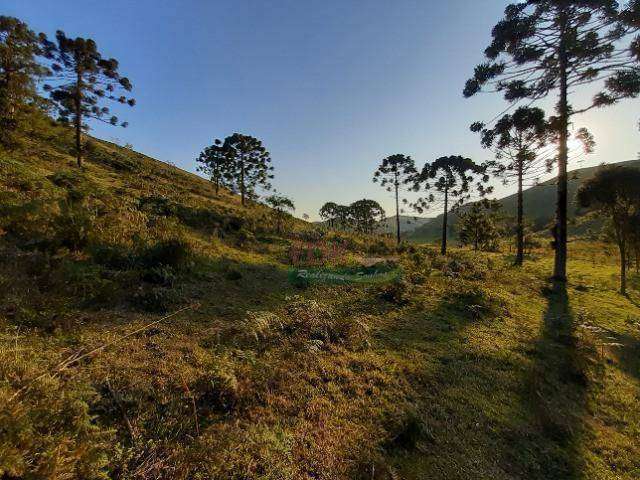 Sítio à venda, 197200 m² por R$ 665.000,00 - Zona Rural - Cunha/SP