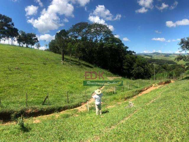 Terreno à venda, 2200 m² por R$ 215.000,00 - Cunha - Cunha/SP