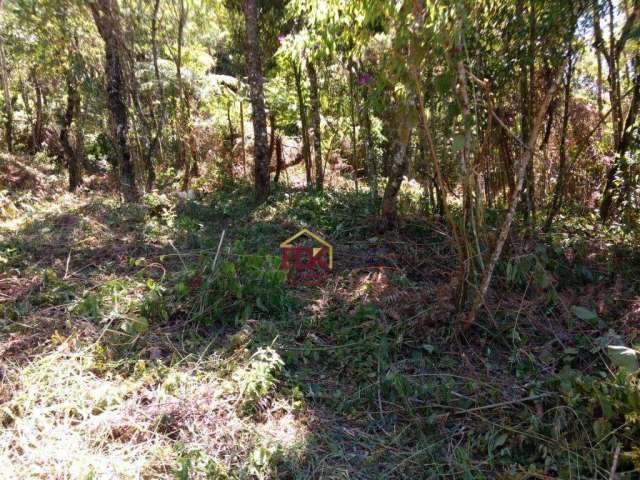 Terreno à venda, 1200 m² por R$ 160.000,00 - Zona Rural - Santo Antônio do Pinhal/SP