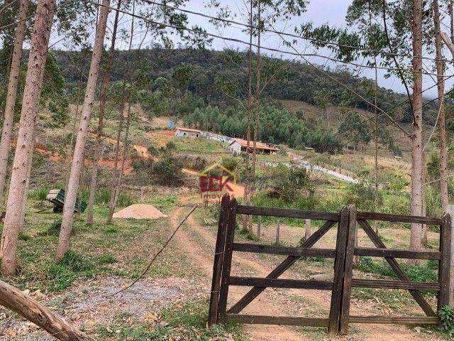 Terreno à venda, 7000 m² por R$ 160.000,00 - Borba - Pindamonhangaba/SP