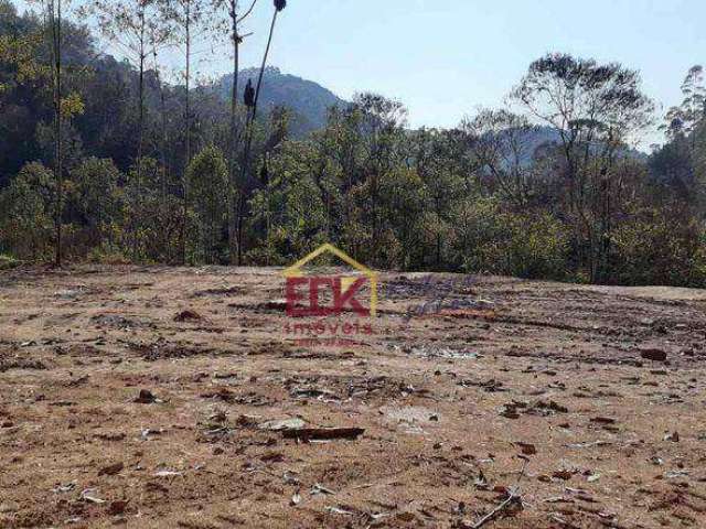 Sítio à venda, 30000 m² por R$ 320.000 - Santa Terezinha - São Luiz do Paraitinga/SP