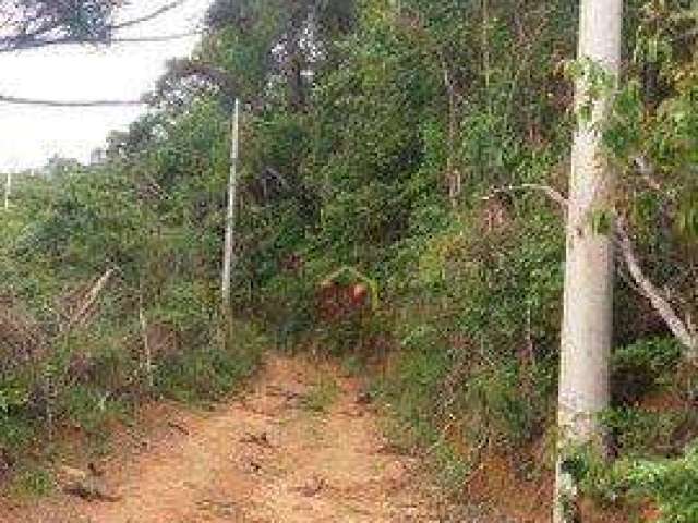 Terreno à venda, 4000 m² por R$ 155.000,00 - Zona Rural - Santo Antônio do Pinhal/SP