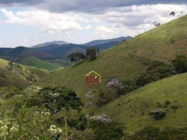 Terreno à venda, 24000 m² por R$ 2.865.000,00 - Santana - São José dos Campos/SP