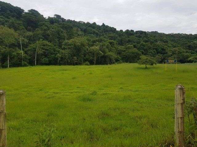 Área à venda, 20000 m² por R$ 400.000,00 - Zona Rural - Santa Branca/SP