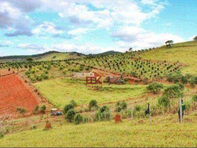 Terreno à venda, 47000 m² por R$ 560.000,00 - Chácaras Cataguá - Taubaté/SP