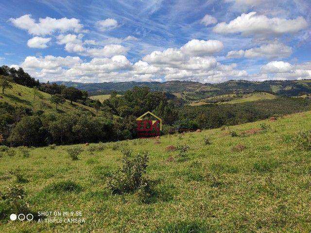 Terreno à venda, 30000 m² por R$ 450.000,00 - Roça Grande - Cunha/SP