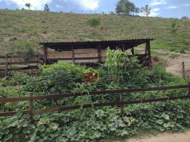 Terreno à venda, 9000 m² por R$ 100.000,00 - Paineira - Teresópolis/RJ