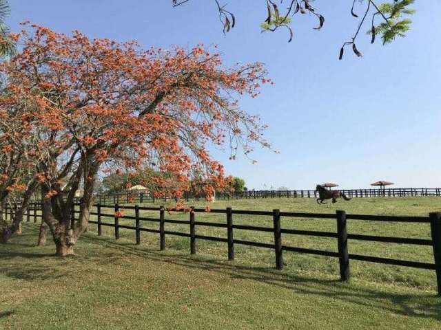 Fazenda Lapa/ PR, porteira fechada,  à  90 km de Curitiba,  433,18 hectares,  plantando 80  alqueir