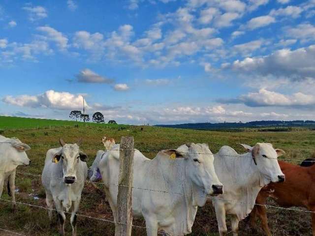 Fazenda à venda, 1.573.000m² ou 157,30 Hectares ou 65 Alqueires, plantando 45 alqueires,  DUPLA APT