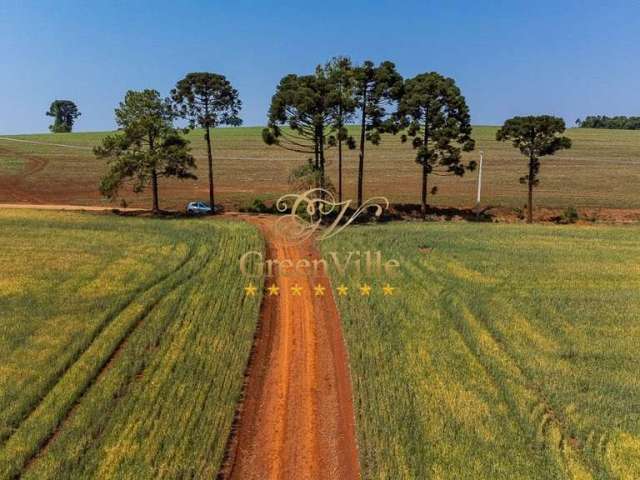 Tibagi, surpreendente plantando 100 hectares,  quase 100%, poço artesiano, cachoeira, à venda, Zona