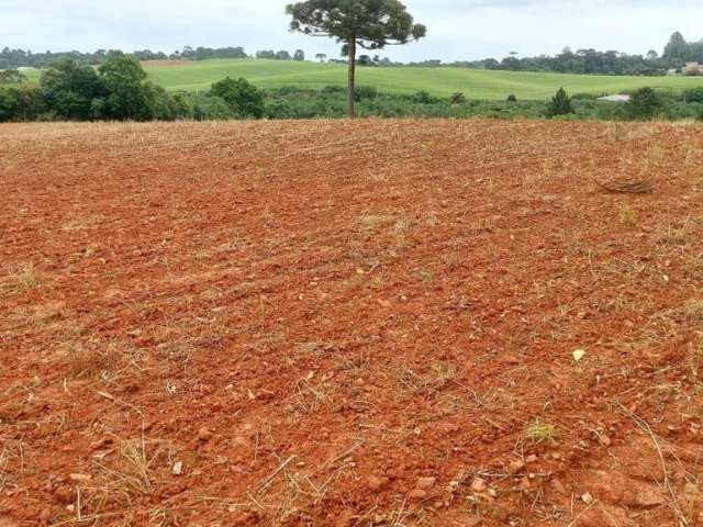 Araucária,,  à 300m do asfalto, chácara 5 alqueires, 12,35 hectares,  barracão, própria pra plantio