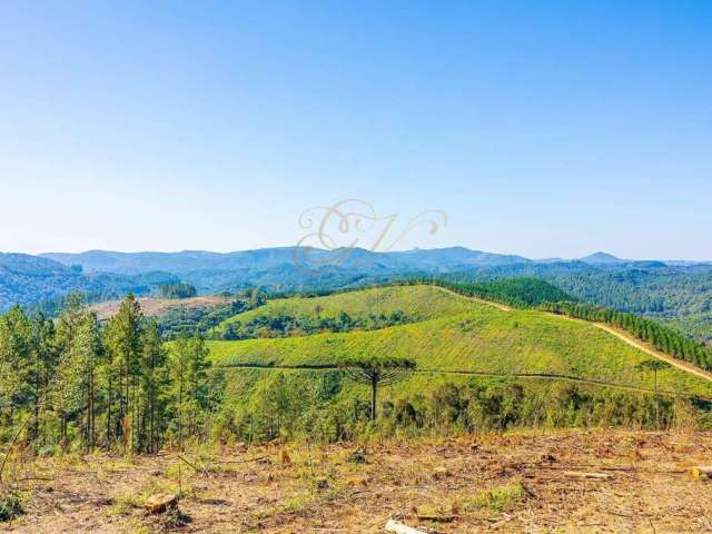 Campo Largo, 111 alqueires, ou 269 hectares, 38 alqueires para reflorestamento, à 6 km do asfalto,