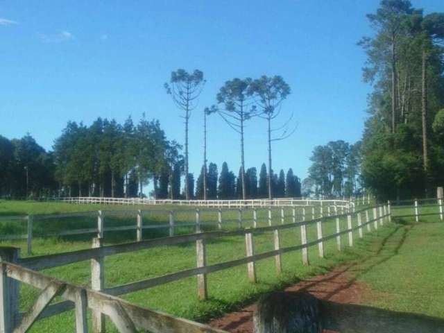 São José dos Pinhais, Haras cinematográfico,171.520m² , 11 piquetes, 20 baias e 20 cocheiras,   pis