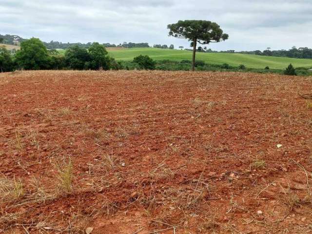 Araucária, à 300m do asfalto, 5 alqueires, 12,35 hectares, barracão, própria pra plantio, arrendada