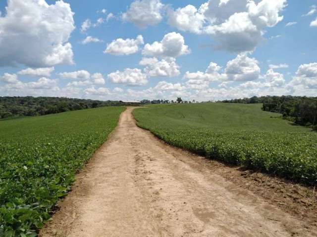 Lapa, Fazenda  42 alqueires ou 101,64 hectares,. Um talhão, Plantando 30 alqueires, à venda, Zona R