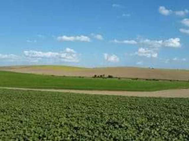 Lapa, Fazenda 471,90 hectares,195 alqueires ou 4.719.000m²,plantando 110 alqueires, à venda, Paraná