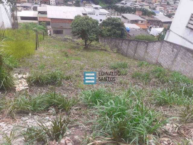 Terreno Residencial à venda, Nova Era, Juiz de Fora - TE0118.