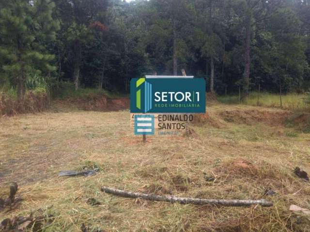 Terreno Residencial à venda, Recanto da Mata, Juiz de Fora - TE0050.