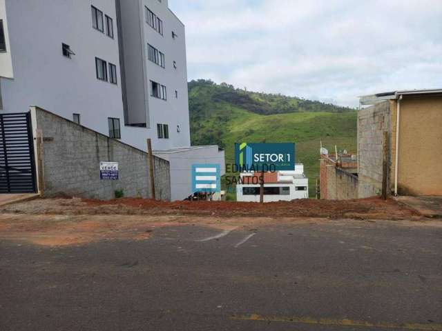 Terreno à venda, 300 m² por R$ 109.900,00 - Jardim dos Alfineiros - Juiz de Fora/MG