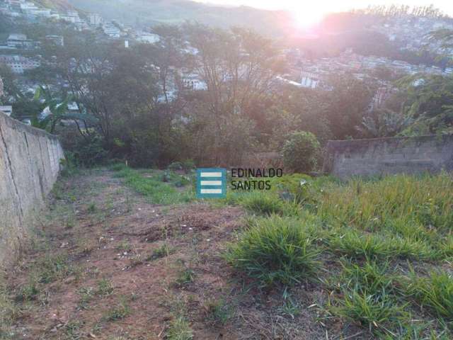 Terreno à venda, 300 m² por R$ 110.000,00 - Benfica - Juiz de Fora/MG