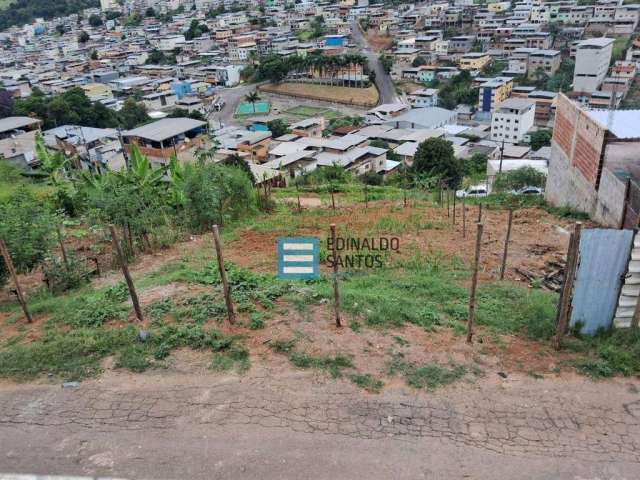 Terreno à venda, 200 m² por R$ 75.000,00 - Nova Era - Juiz de Fora/MG