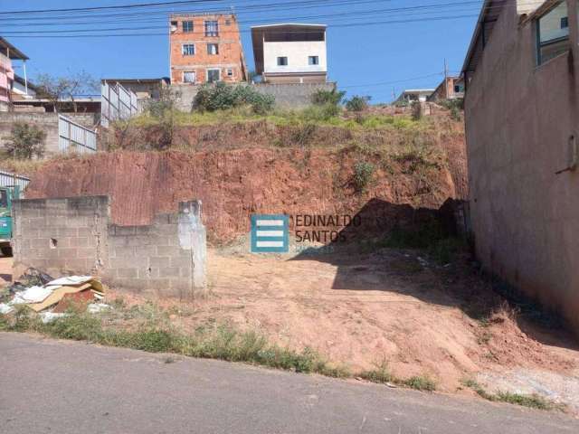 Terreno à venda, 423 m² por R$ 150.000,00 - Benfica - Juiz de Fora/MG