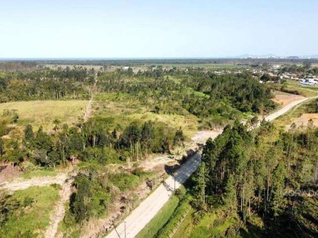 Terreno em Morro grande  -  Araquari