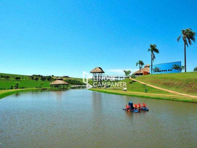 Terreno à venda, 3373 m² por R$ 600.000,00 - Ecovillas do Lago - Sertanópolis/PR