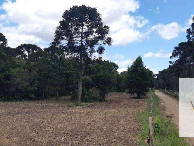 Terreno para construir em Piraquara